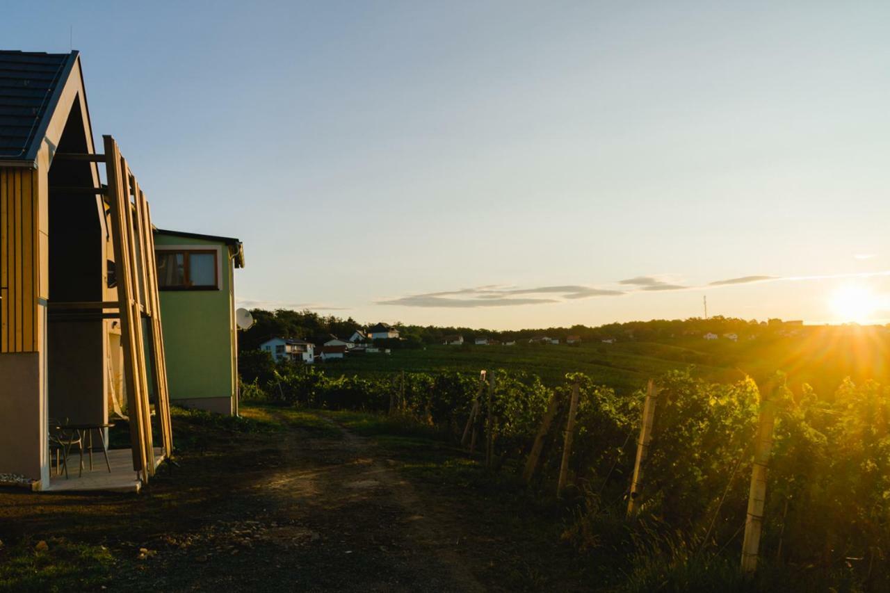 Weinlofts Weinloft II Villa Eisenberg an der Pinka Екстериор снимка